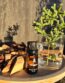 Oregano Essential Oil
