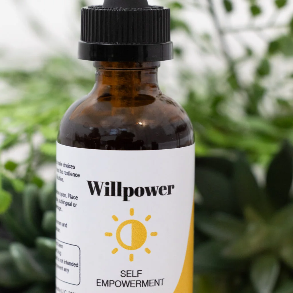 Willpower_Self Empowerment