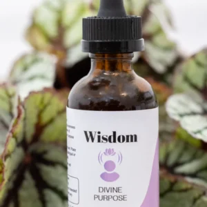 Wisdom_Divine Purpose